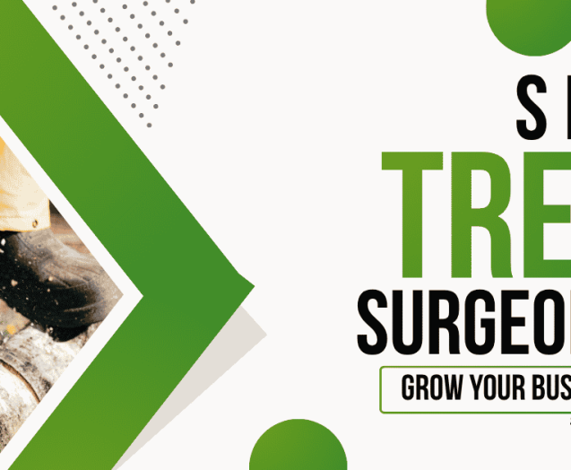 SEO for Tree Surgeons